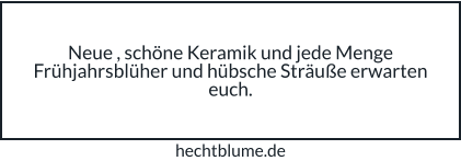 Neue , schöne Keramik und jede Menge Frühjahrsblüher und hübsche Sträuße erwarten euch. hechtblume.de